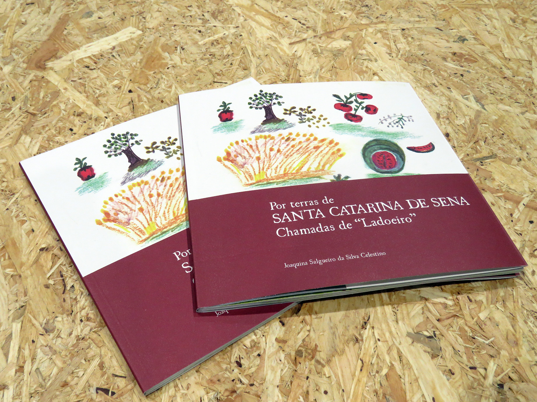 Livro Santa Catarina Sena